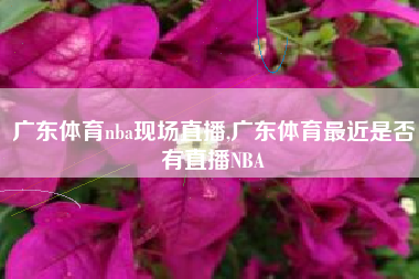 广东体育nba现场直播,广东体育最近是否有直播NBA