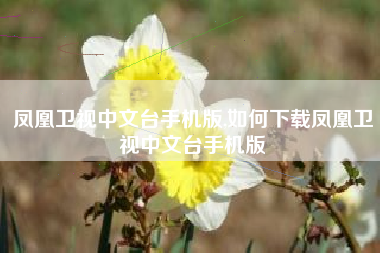 凤凰卫视中文台手机版,如何下载凤凰卫视中文台手机版